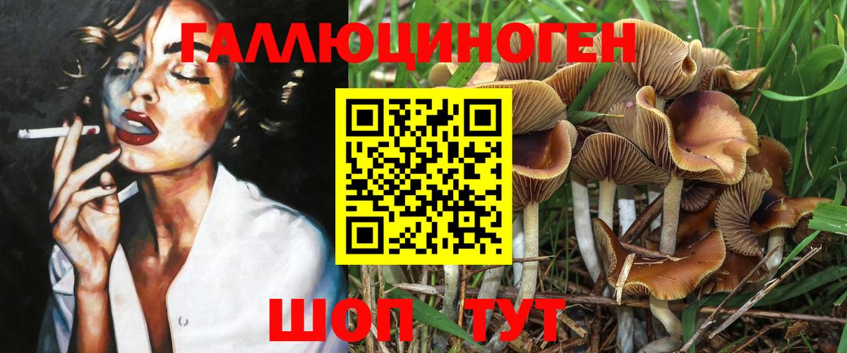 где можно купить наркотик  Вход с VPN  Балашиха  Галлюциногенные грибы Magic Shrooms 